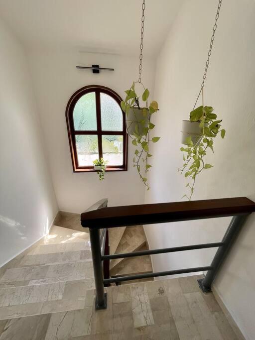 Beautiful Jungle House On A Strategic Location Βίλα Κανκούν Εξωτερικό φωτογραφία