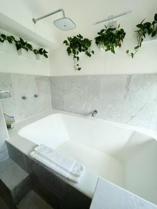Beautiful Jungle House On A Strategic Location Βίλα Κανκούν Εξωτερικό φωτογραφία